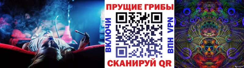 Галлюциногенные грибы MAGIC MUSHROOMS сколько стоит Каменск-Уральский